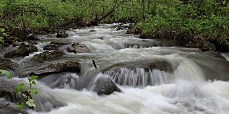 Большая Лиственная
