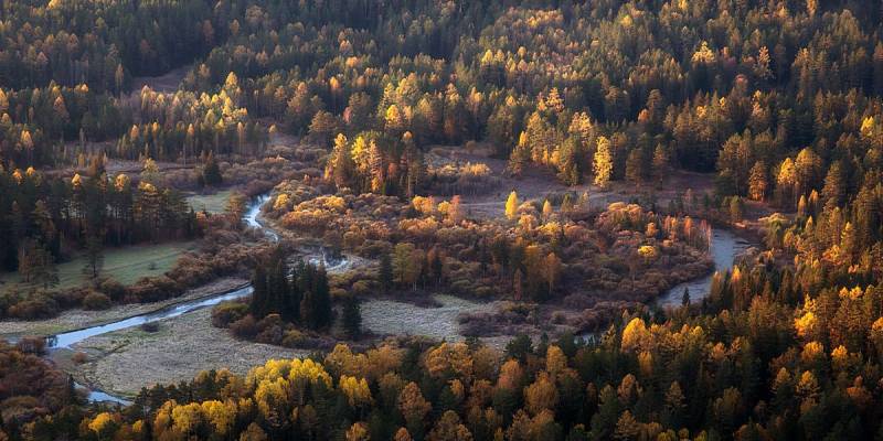 Легенда о Базаихе