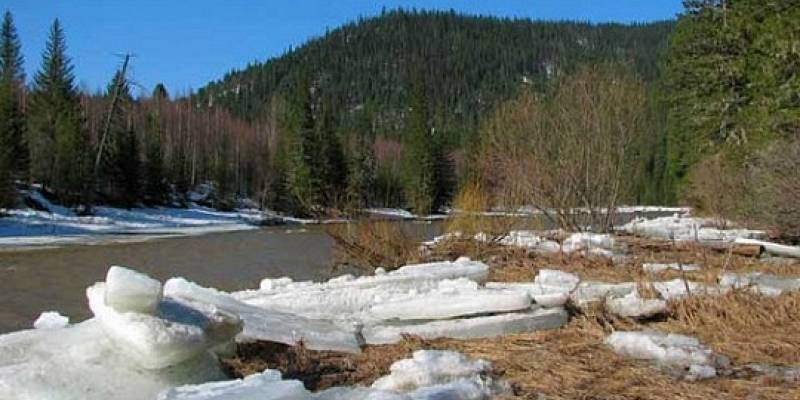 Заказник «Сисимский»