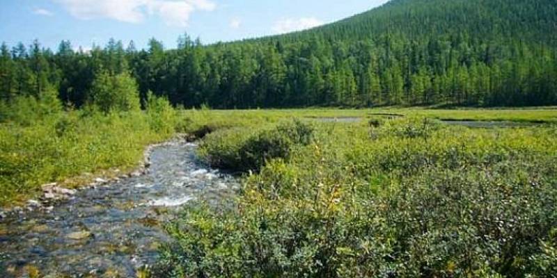 Заказник «Тайбинский»