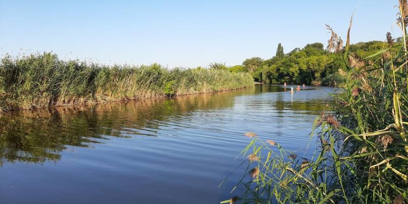 Река Таганрог