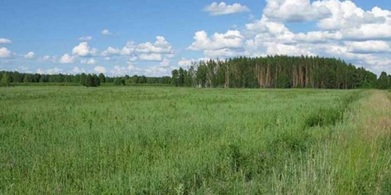 Заказник «Большая степь»